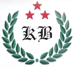 Логотип клуба «Вирский»